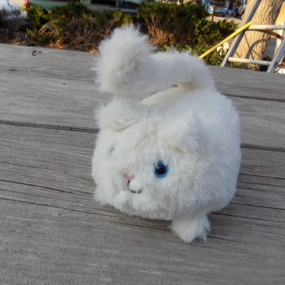JELLYCAT Kitten Caboodle WHITE  KITTEN PLUSH BLUE EYES  Long Tail HARD TO FIND *